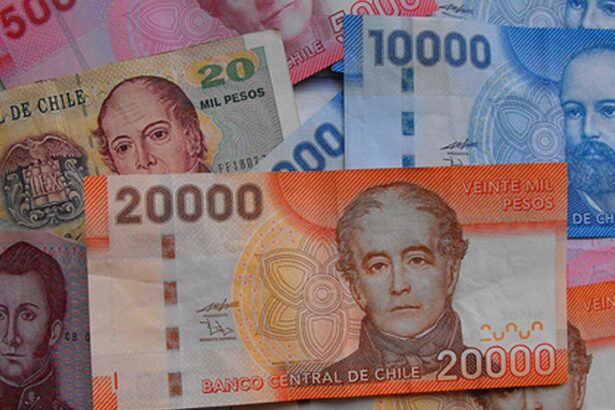 Asignación Familiar y Maternal en Chile: Montos y Requisitos para Acceder a Beneficios Económicos Según Ingreso