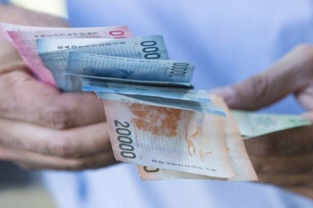 Aumento de la Pensión Garantizada Universal en Febrero: Detalles del Reajuste Anual Según el IPC