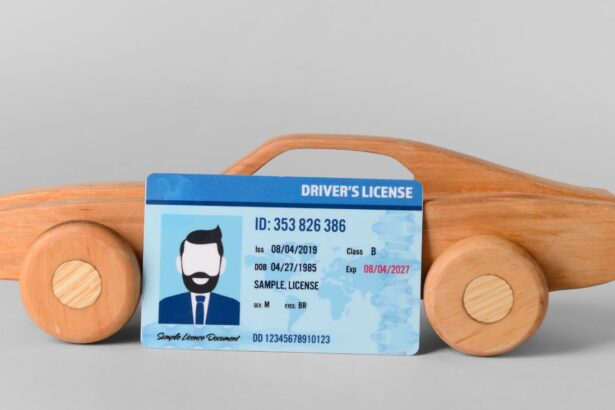 Chile Lanza Licencia de Conducir Digital en Regiones de Tarapacá y Aysén: Conoce los Requisitos y Beneficios