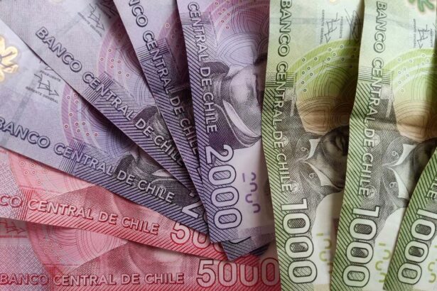 Enero 2025: Descubre los Beneficios Estatales para Mujeres en Chile, Incluyendo el Bono al Trabajo y Más Subsidios