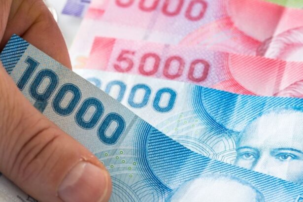 Aumento del Aporte Familiar Permanente a $64.574 en 2025: Fechas y Detalles del Bono Marzo