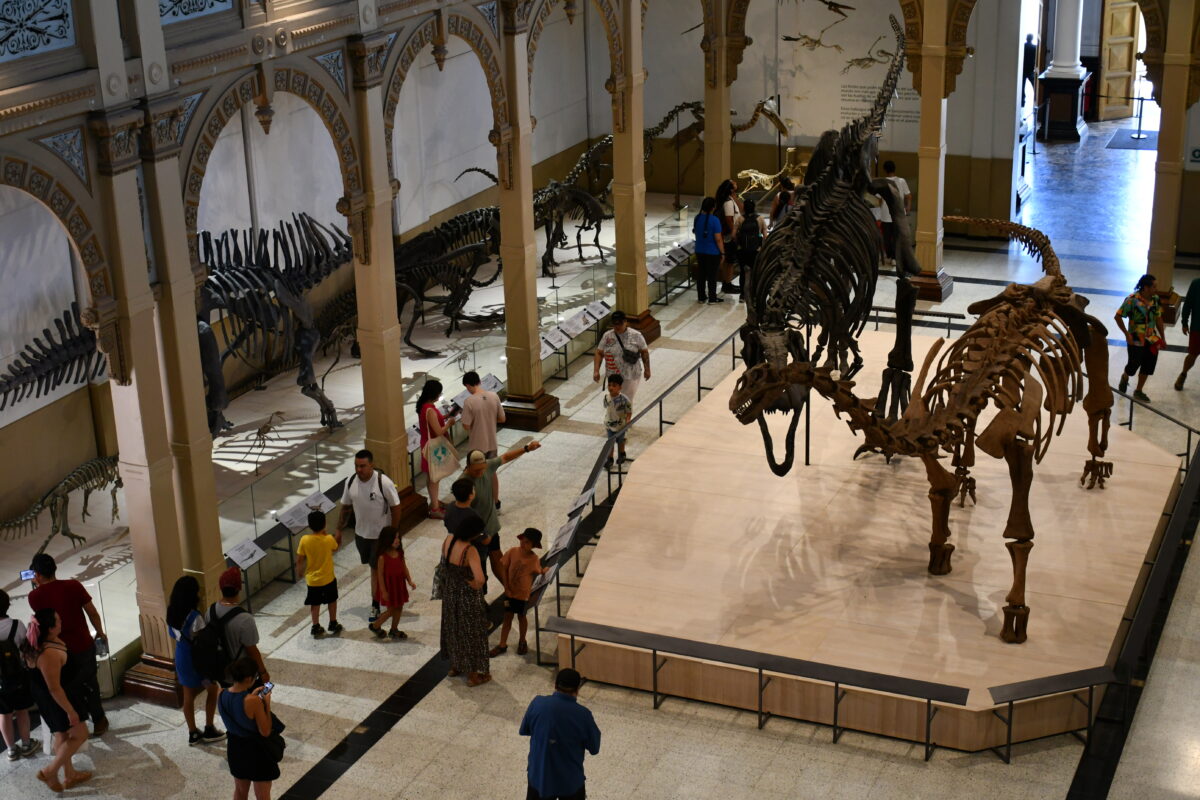 Muestra "Dinosaurios al Sur del Mundo" supera las 200.000 visitas en su primer mes y se consolida como un imperdible del verano Muestra "Dinosaurios al Sur del Mundo" supera las 200.000 visitas en su primer mes y se consolida como un imperdible del verano