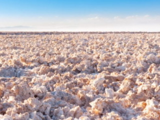 Wealth Minerals y Comunidad Indígena de Ollagüe unen fuerzas en proyecto de litio