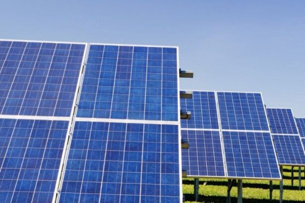 Megaproyecto fotovoltaico en Maipú: inversión de 11 millones de dólares