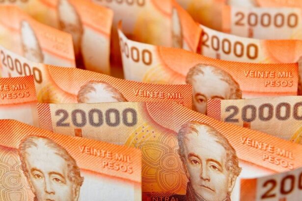 Últimos Días para Acceder a Bonos y Subsidios en Chile: Detalles sobre PGU, BTM y Más Beneficios para Febrero 2025