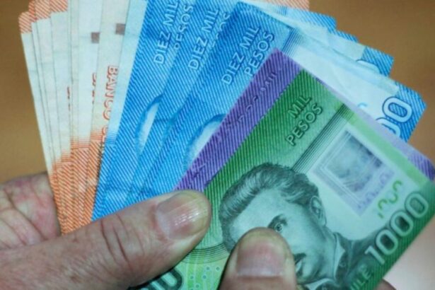 Segunda Ronda del Bono Marzo Inicia: Detalles y Beneficiarios del Aporte Familiar Permanente