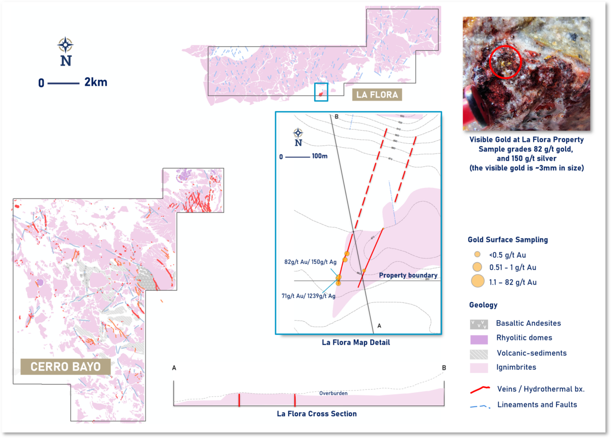 Argentina: Latin Metals descubre oro visible en el proyecto La Flora, Santa Cruz Argentina: Latin Metals descubre oro visible en el proyecto La Flora, Santa Cruz
