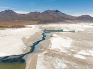 Audiencia por daño ambiental en Salar de Surire: propuesta de acuerdo analizada.