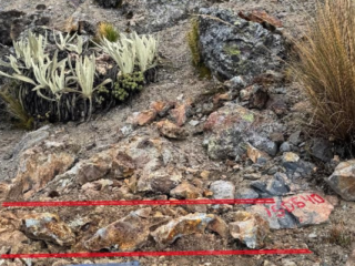 Perú: Excellon Resources reporta muestreo de más de 9 g/t de oro y 1,000 g/t de plata en Tres Cerros