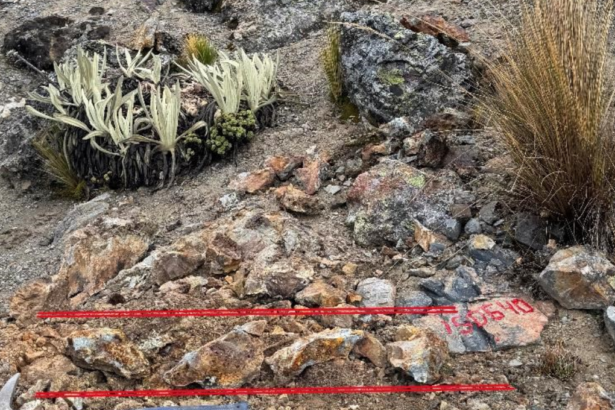 Perú: Excellon Resources reporta muestreo de más de 9 g/t de oro y 1,000 g/t de plata en Tres Cerros