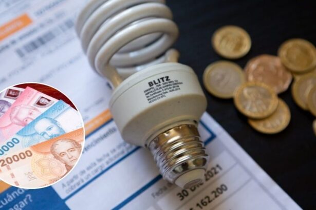 No será en abril: Gobierno posterga la nueva postulación al Subsidio Eléctrico 2025