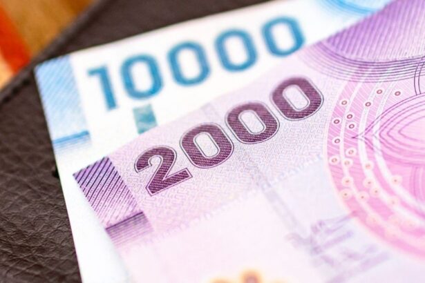 Adultos mayores podrán recibir bono de $81.000 en 2025: revisa los requisitos