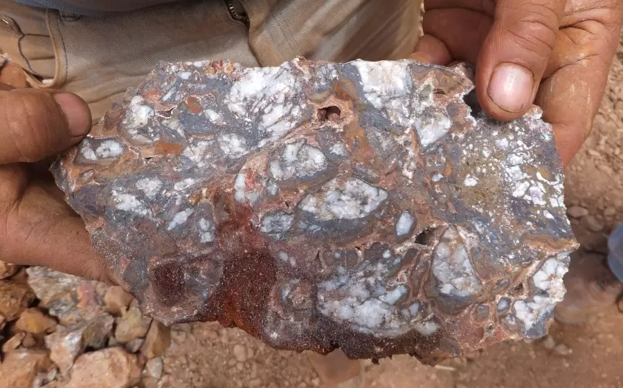 Red Metal Resources Comienza Programa de Muestreo y Mapeo en su Propiedad IOCG de Carrizal Red Metal Resources Comienza Programa de Muestreo y Mapeo en su Propiedad IOCG de Carrizal