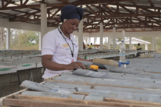 Awalé Resources alcanza 12 g/t de oro en 26 metros entre múltiples intercepciones de alta ley en el objetivo Charger, Proyecto Odienné