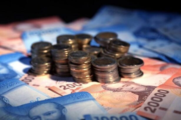 PGU subirá a $250.000: revisa cuándo aumentará según tu edad y tipo de pensión