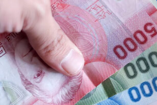 Bono de Invierno 2025: Ayuda Automática de $81.257 para Adultos Mayores en Mayo - Sin Postulación Necesaria