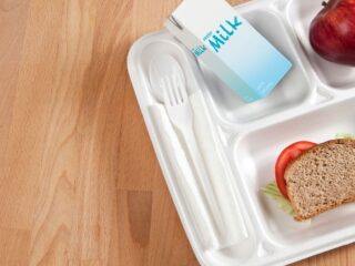 Programa de Alimentación Escolar en Chile: Clave para la Nutrición Diaria de Estudiantes