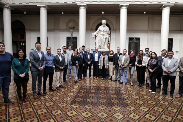 Universidad de Chile y Fraunhofer Alemania fortalecen alianza para liderar la transición energética y combatir el cambio climático