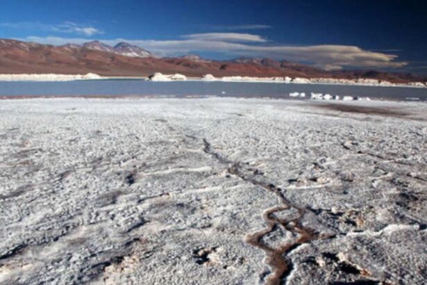 Cesco Week 2025: Líderes en Minería Debaten Futuro de Proyectos Clave y Sostenibilidad en Chile