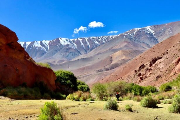 SEA evalúa impacto de nuevo proyecto de prospección minera "El Alto" en Atacama con participación clave de entidades locales