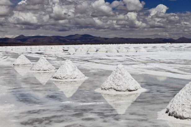 Lithium Argentina y Ganfeng aceleran desarrollo de litio con tecnología DLE en Argentina para producir 150.000 toneladas anuales