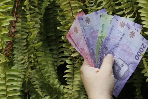 Adultos mayores en Chile: Conoce los nuevos aumentos en la PGU y otros bonos esenciales para 2025