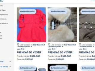 Subasta Nacional de Aduanas Ofrece 100 Lotes de Mercancía: Oportunidad Única para Emprendedores y Comercios desde Valparaíso a Los Andes