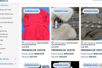 Subasta Nacional de Aduanas Ofrece 100 Lotes de Mercancía: Oportunidad Única para Emprendedores y Comercios desde Valparaíso a Los Andes
