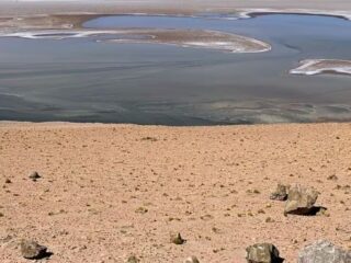 First Lithium Minerals revela resultados prometedores de litio y boro en el Proyecto Ascotan, Salar de Antofagasta