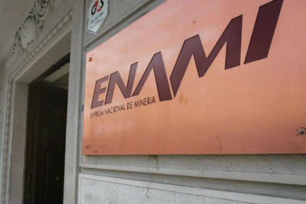 Enami reporta ganancias de $30,4 millones en el primer trimestre de 2025, destacando mejoras operativas y financieras