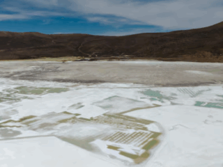 Tribunal Ambiental evalúa reanudación parcial de Quiborax en Salar de Surire