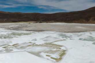 Tribunal Ambiental evalúa reanudación parcial de Quiborax en Salar de Surire