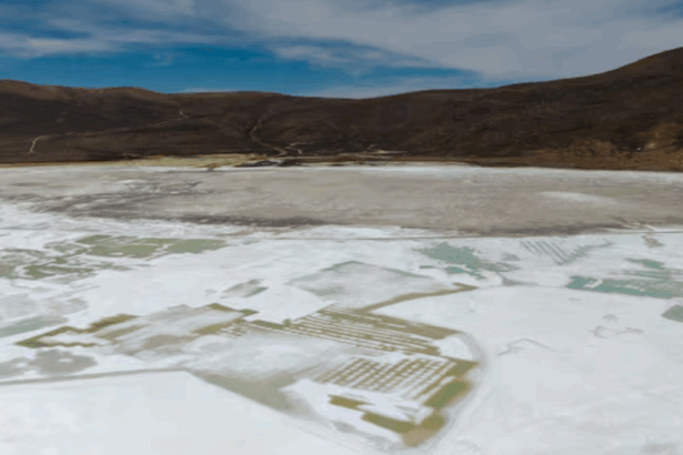 Tribunal Ambiental evalúa reanudación parcial de Quiborax en Salar de Surire