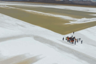 Avanzan conversaciones entre CDE y Quiborax por daño ambiental en Salar.