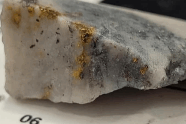 Australia: Southern Cross Gold perfora 3.4 m @ 466 g/t de oro en Sunday Creek