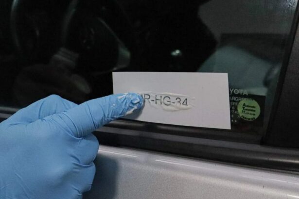 Esta es la multa si te sorprenden sin la patente grabada en tu auto