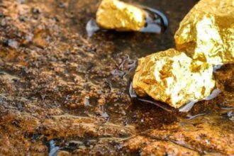 Minera Mantos de Oro invertirá US$113 millones para extender extracción de oro en Atacama