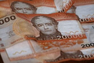 IPS entrega $112.000 mensuales: revisa cómo postular
