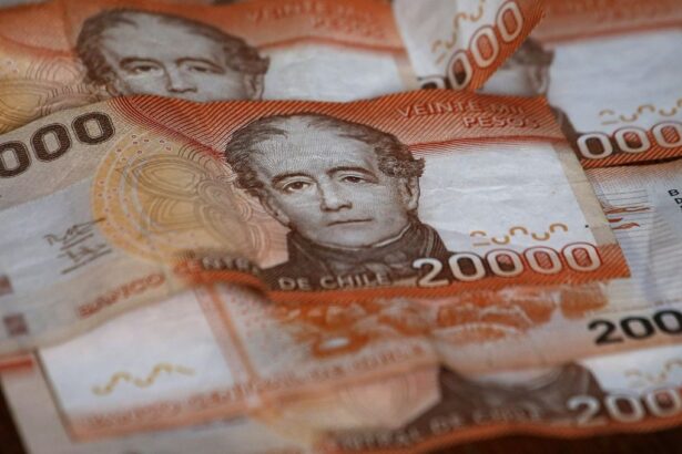 IPS entrega $112.000 mensuales: revisa cómo postular