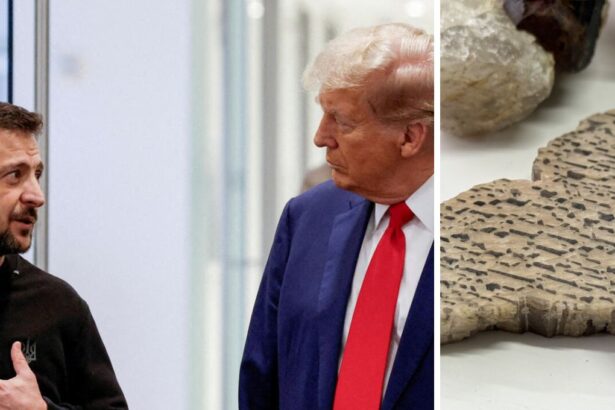 ¿Por qué a Donald Trump le interesa tanto Ucrania? El rol del litio y las tierras raras