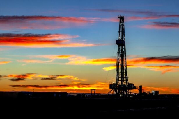 OPEP mantiene sin cambios proyecciones de crecimiento en la demanda mundial de petróleo para 2025 y 2026