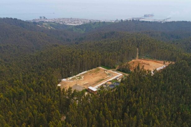 Proyecto de tierras raras en Penco tambalea por nuevas objeciones ambientales