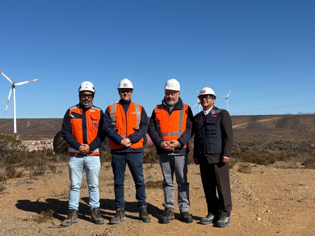 Subsecretario de Energía visita Parque Eólico Los Cururos de AES Chile