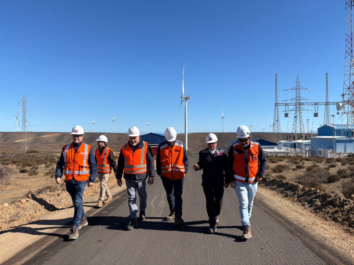 Subsecretario de Energía visita Parque Eólico Los Cururos de AES Chile