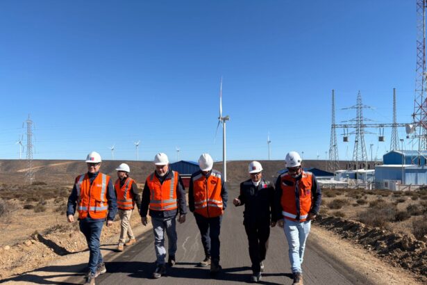 Subsecretario de Energía visita Parque Eólico Los Cururos de AES Chile