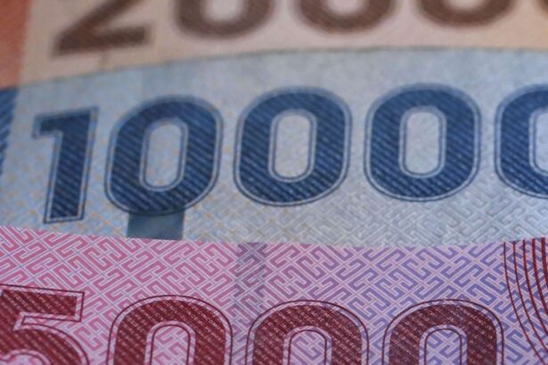 Ayudas para Cesantes en Chile: Conoce los Seguros y Subsidios Disponibles en Mayo 2025