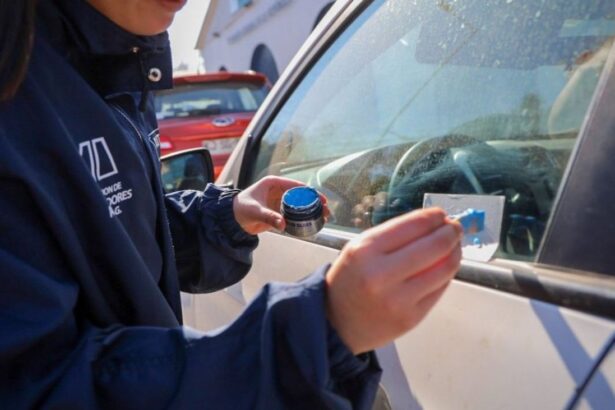 Nueva Regulación de Seguridad Vehicular: Obligatorio el Grabado de Patentes en Vidrios y Espejos para Prevenir Robos