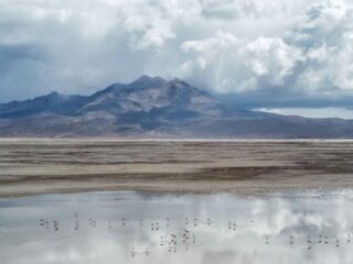 Rechazan segunda propuesta de conciliación de Quiborax en disputa legal por daño ambiental en Salar de Surire