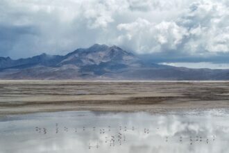 Rechazan segunda propuesta de conciliación de Quiborax en disputa legal por daño ambiental en Salar de Surire