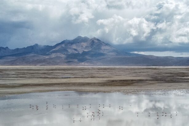 Rechazan segunda propuesta de conciliación de Quiborax en disputa legal por daño ambiental en Salar de Surire